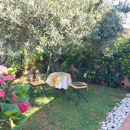 Appartamento Alida Umag Exterior photo
