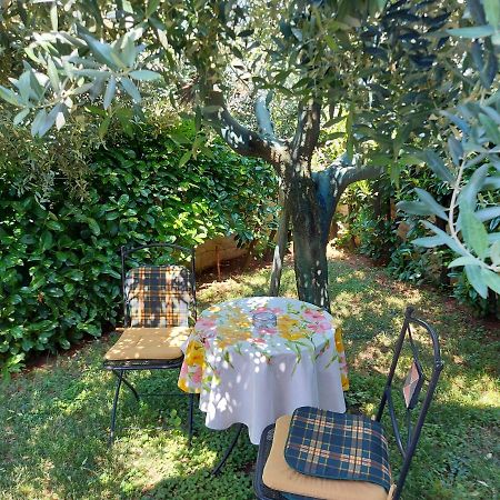 Appartamento Alida Umag Exterior photo