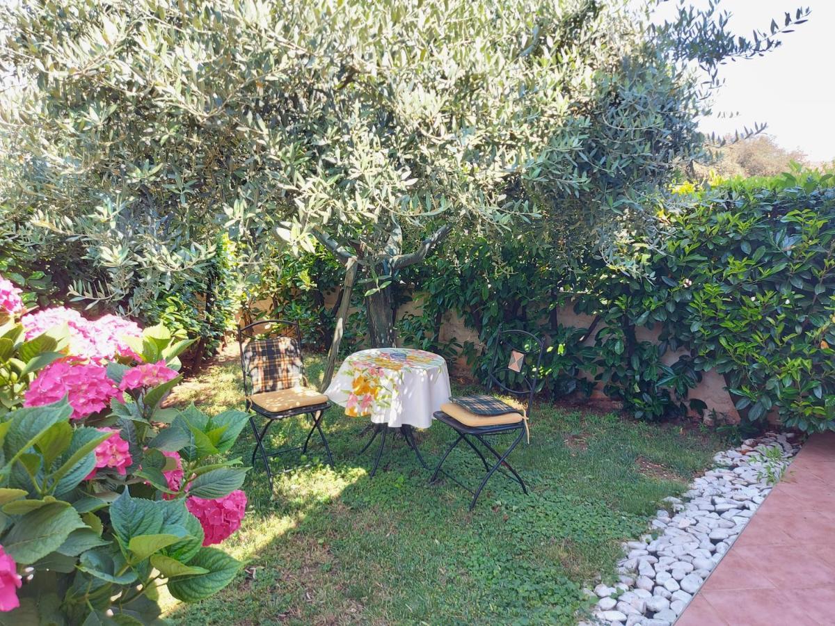 Appartamento Alida Umag Exterior photo