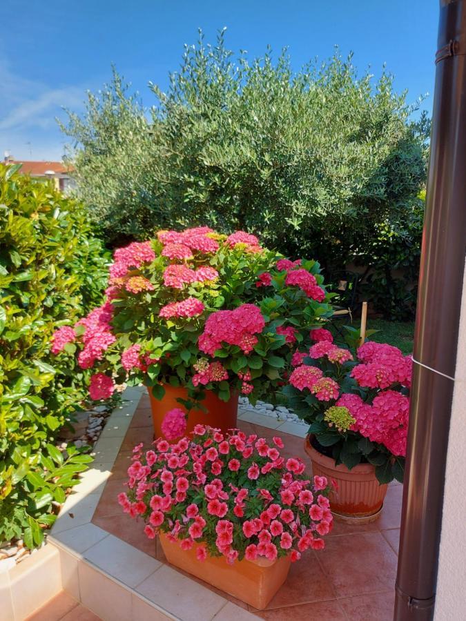 Appartamento Alida Umag Exterior photo