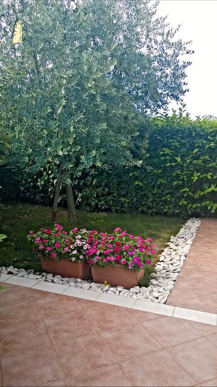 Appartamento Alida Umag Room photo